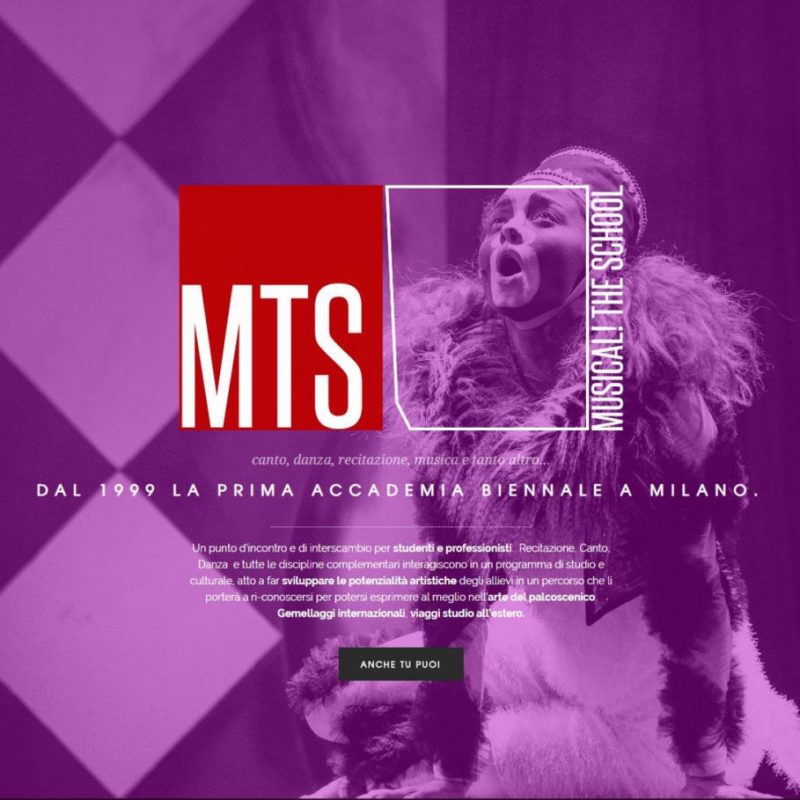 MTS - MUSICAL! THE SCHOOL - WEB DESIGN